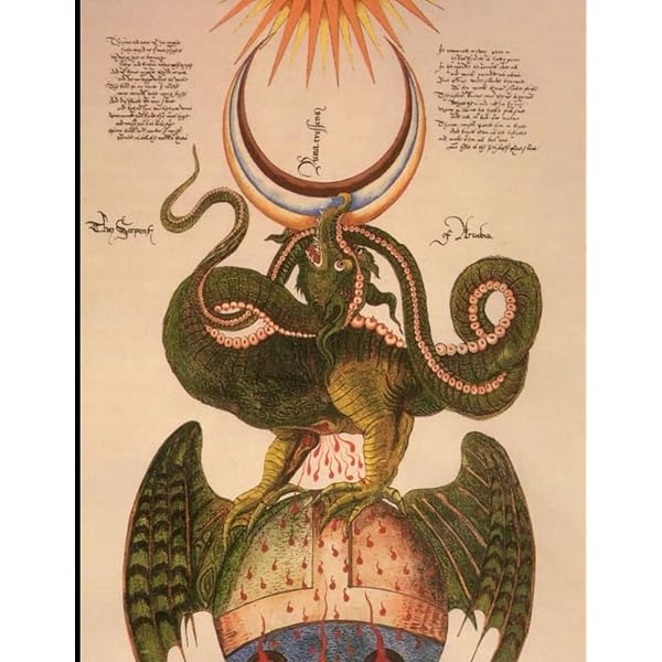 Amazon | Codex Seraphinianus | Serafini, Luigi | History